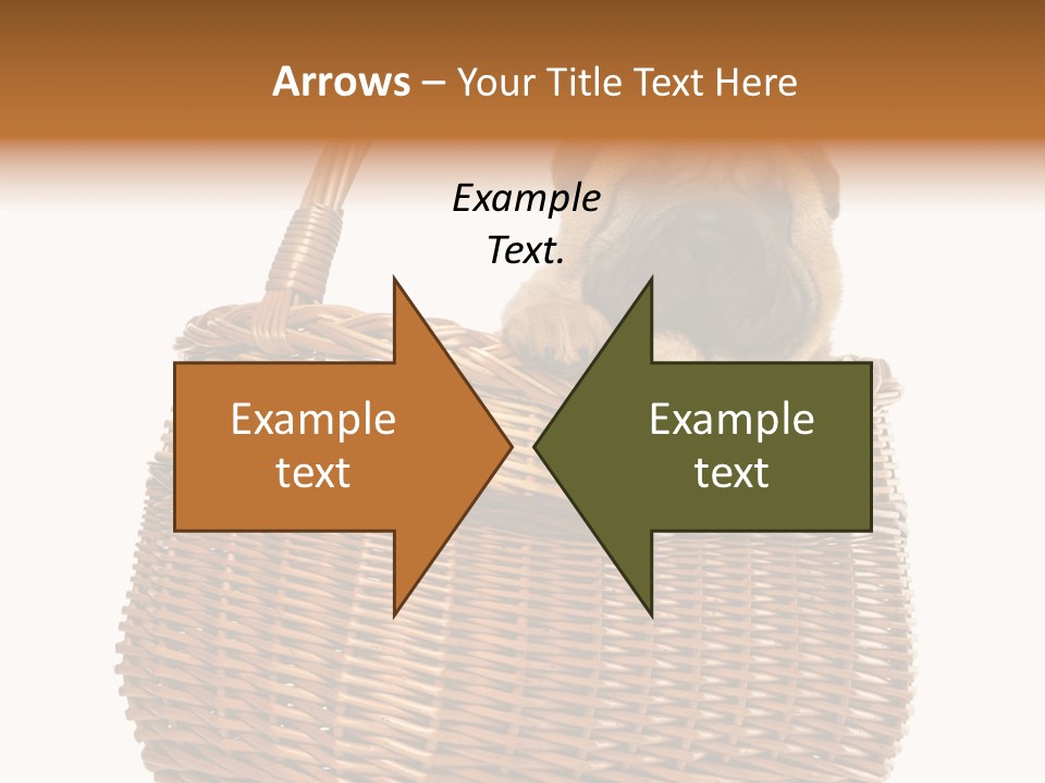 No People Purebred Dog Alone PowerPoint Template