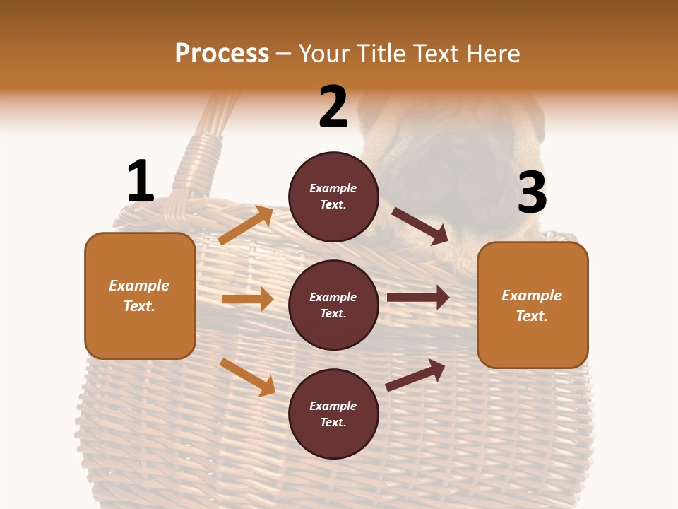 No People Purebred Dog Alone PowerPoint Template