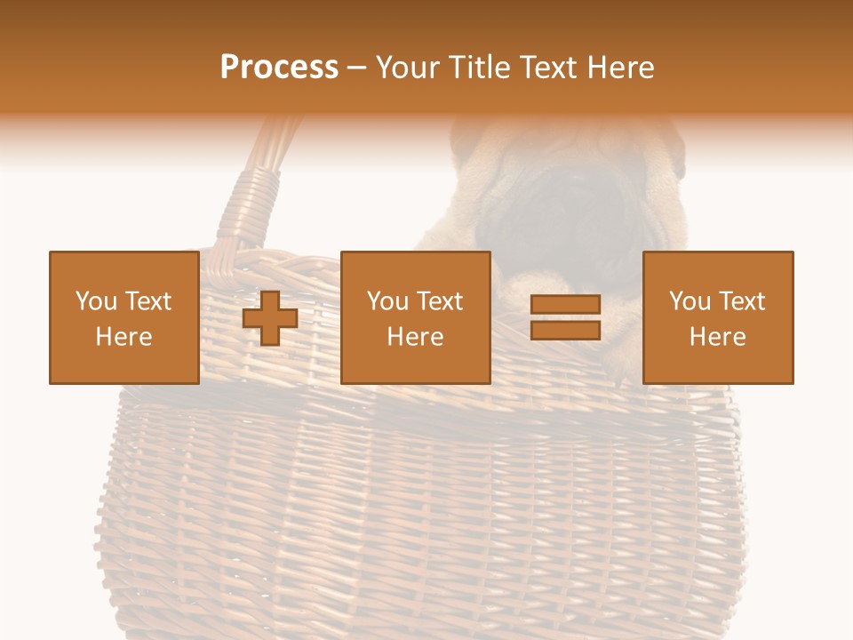 No People Purebred Dog Alone PowerPoint Template