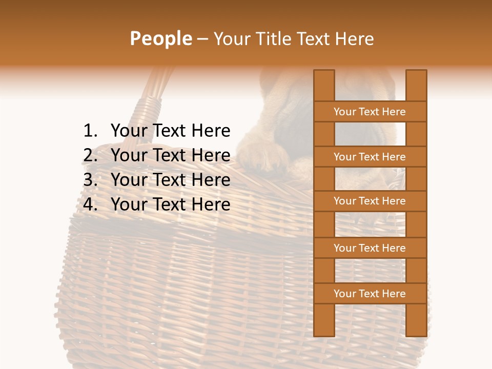 No People Purebred Dog Alone PowerPoint Template