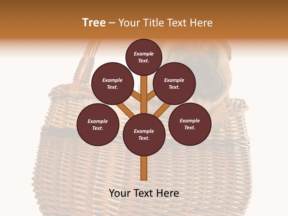 No People Purebred Dog Alone PowerPoint Template