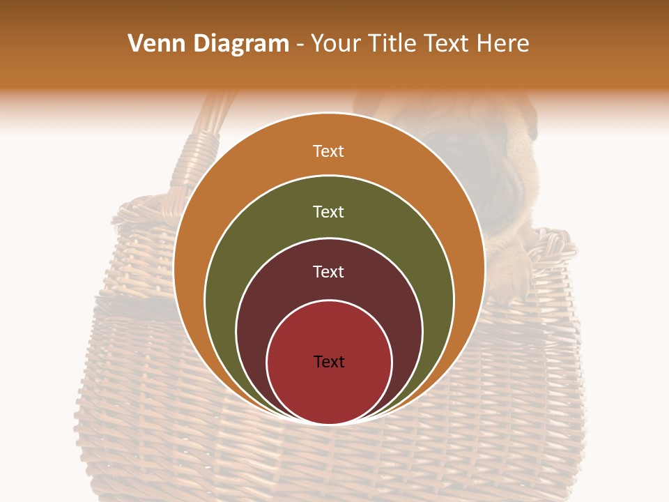 No People Purebred Dog Alone PowerPoint Template