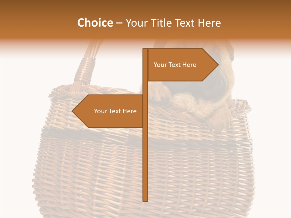 No People Purebred Dog Alone PowerPoint Template