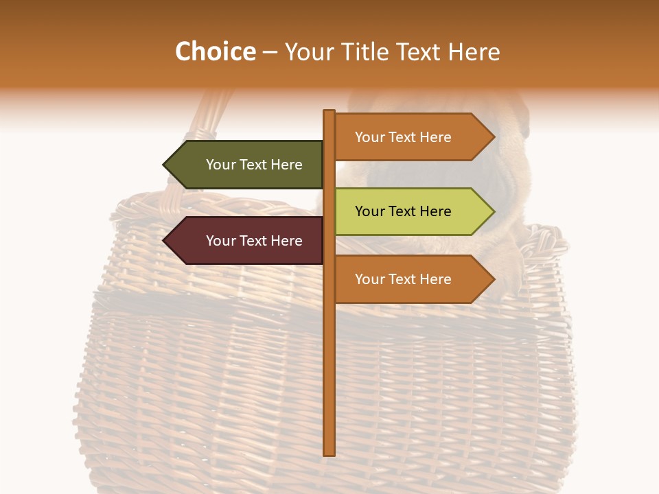 No People Purebred Dog Alone PowerPoint Template