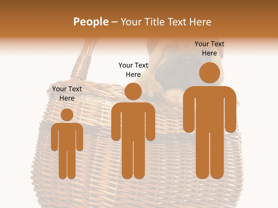 No People Purebred Dog Alone PowerPoint Template