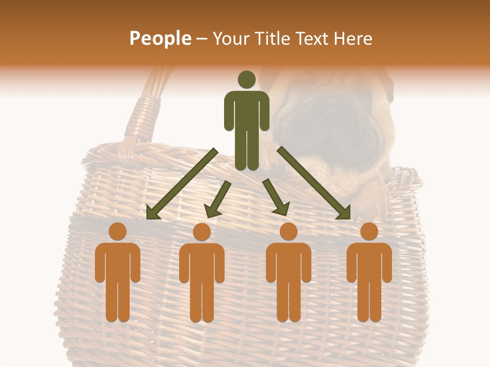 No People Purebred Dog Alone PowerPoint Template