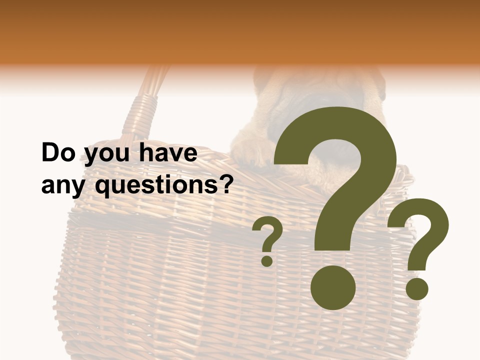 No People Purebred Dog Alone PowerPoint Template