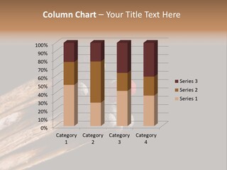 Success Group People PowerPoint Template