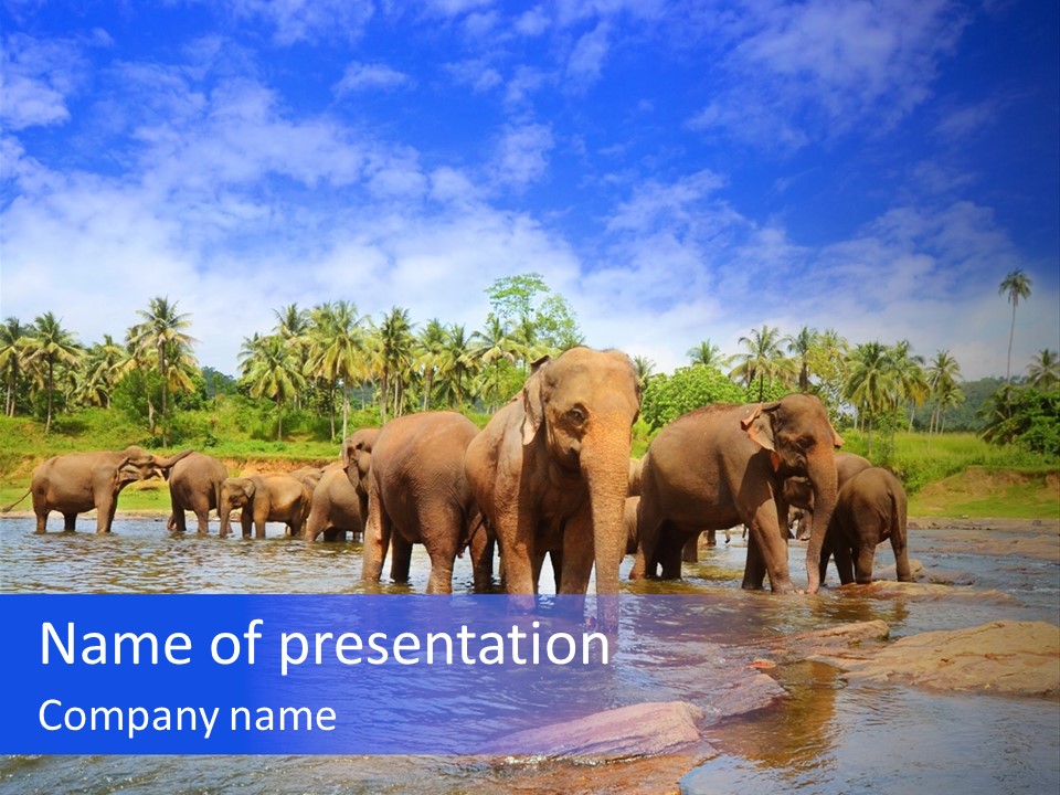 Write Concept Background PowerPoint Template