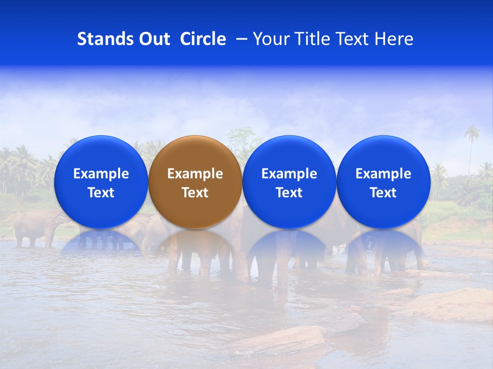 Write Concept Background PowerPoint Template