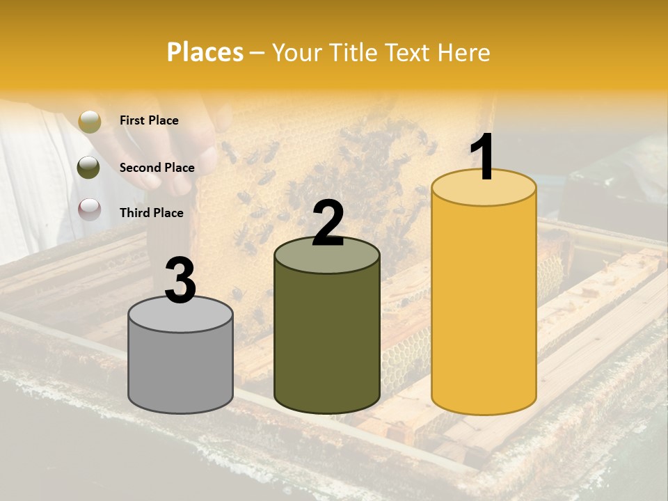 Pollination Beekeeping Apiary PowerPoint Template