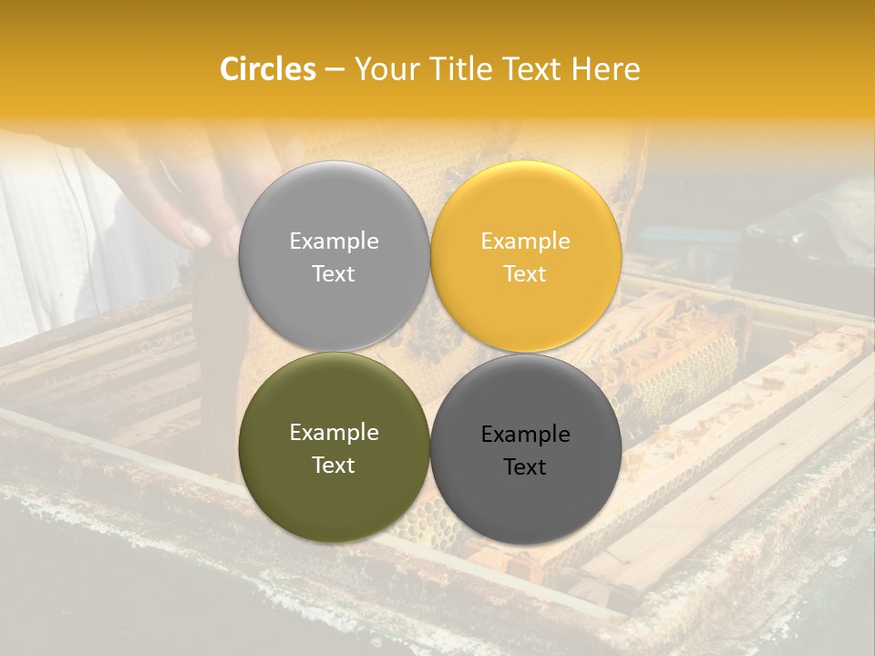 Pollination Beekeeping Apiary PowerPoint Template