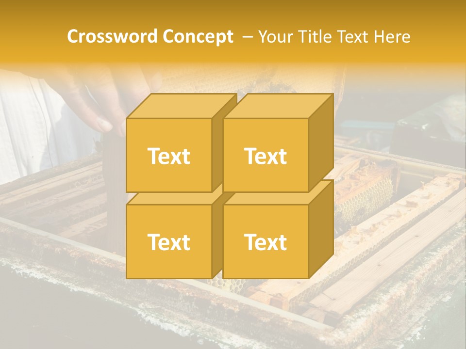 Pollination Beekeeping Apiary PowerPoint Template