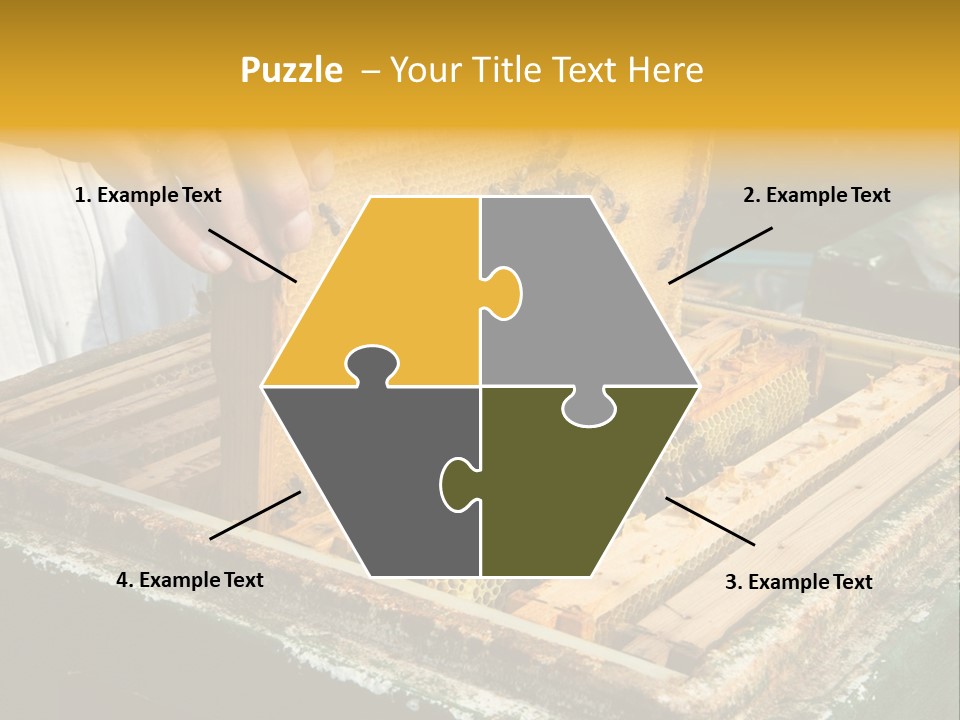 Pollination Beekeeping Apiary PowerPoint Template