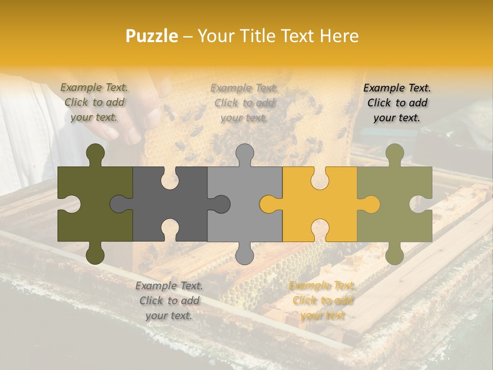 Pollination Beekeeping Apiary PowerPoint Template