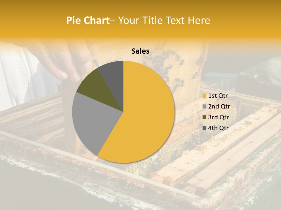 Pollination Beekeeping Apiary PowerPoint Template