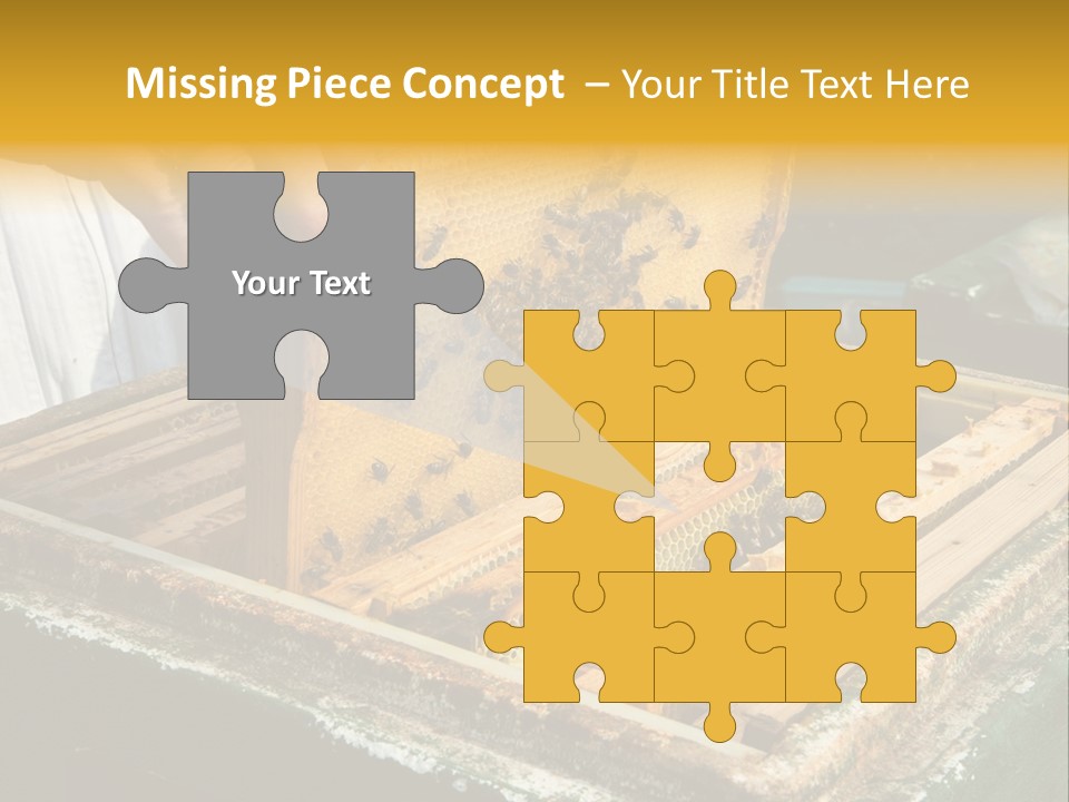 Pollination Beekeeping Apiary PowerPoint Template