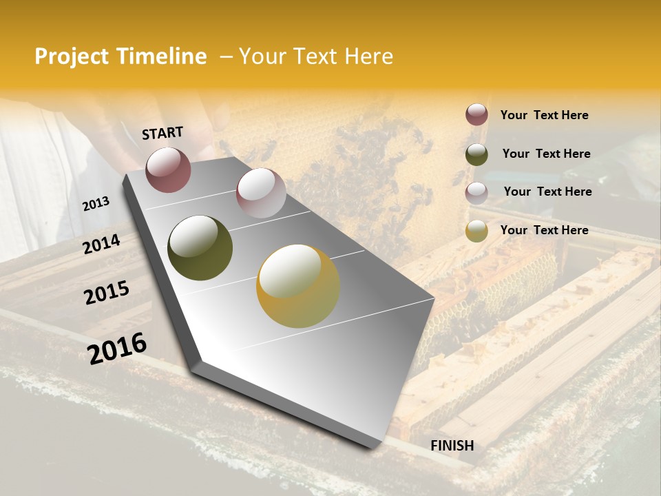 Pollination Beekeeping Apiary PowerPoint Template