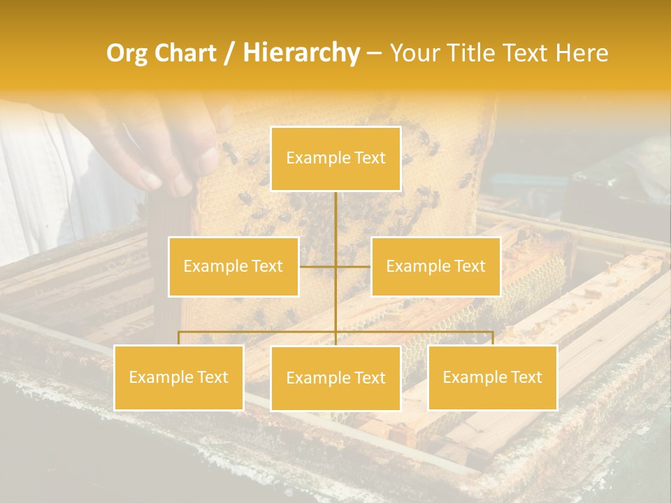 Pollination Beekeeping Apiary PowerPoint Template