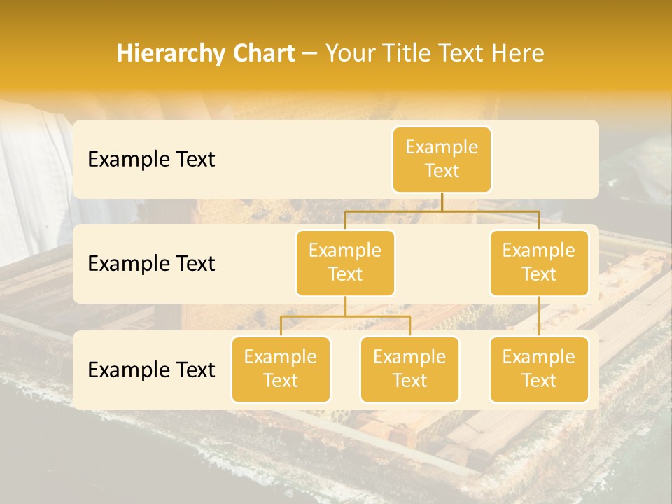 Pollination Beekeeping Apiary PowerPoint Template
