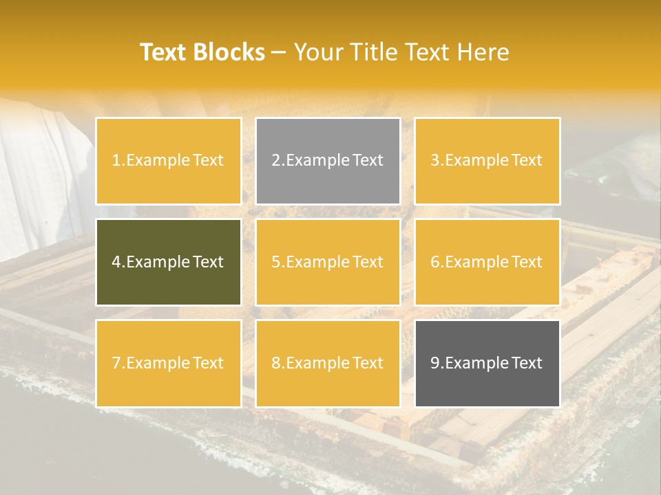 Pollination Beekeeping Apiary PowerPoint Template