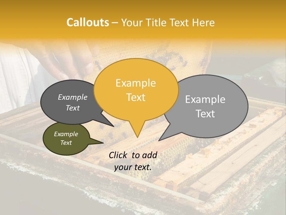 Pollination Beekeeping Apiary PowerPoint Template