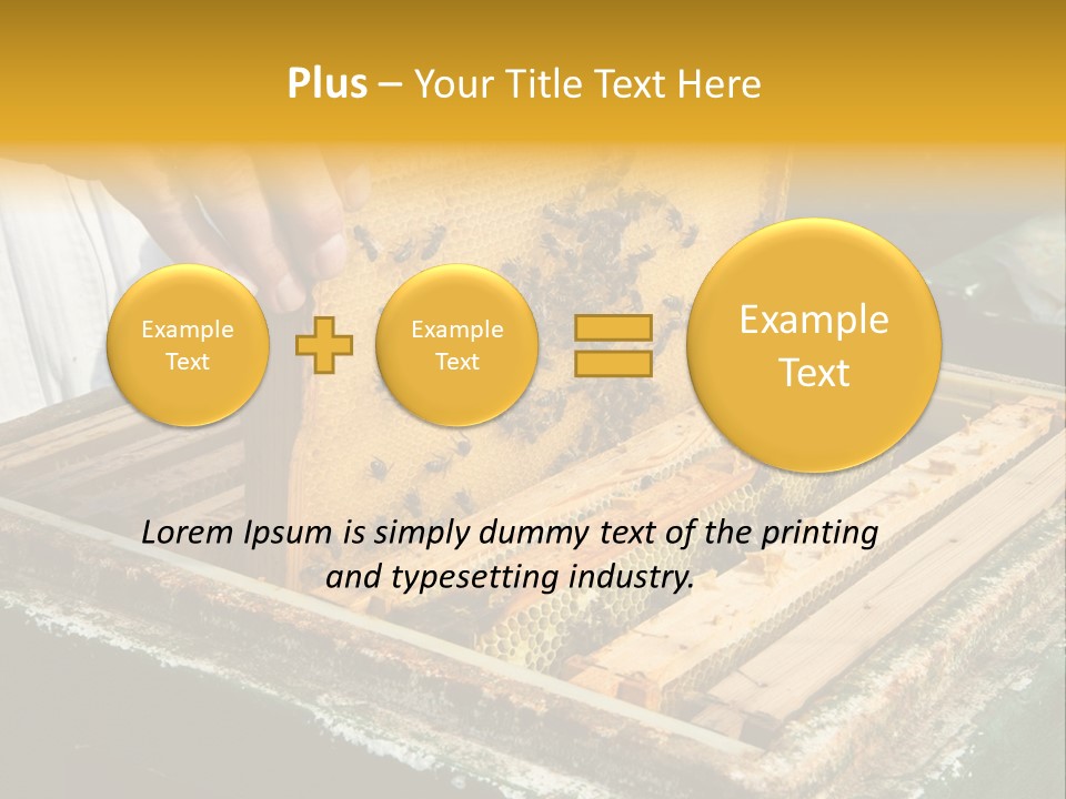 Pollination Beekeeping Apiary PowerPoint Template