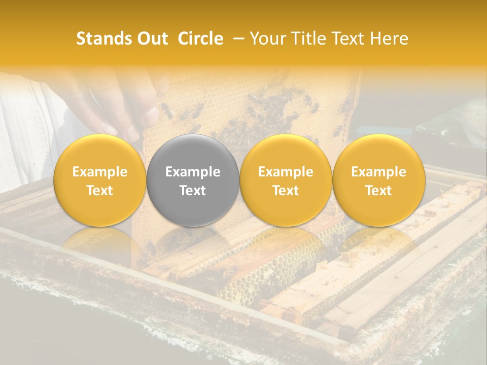 Pollination Beekeeping Apiary PowerPoint Template