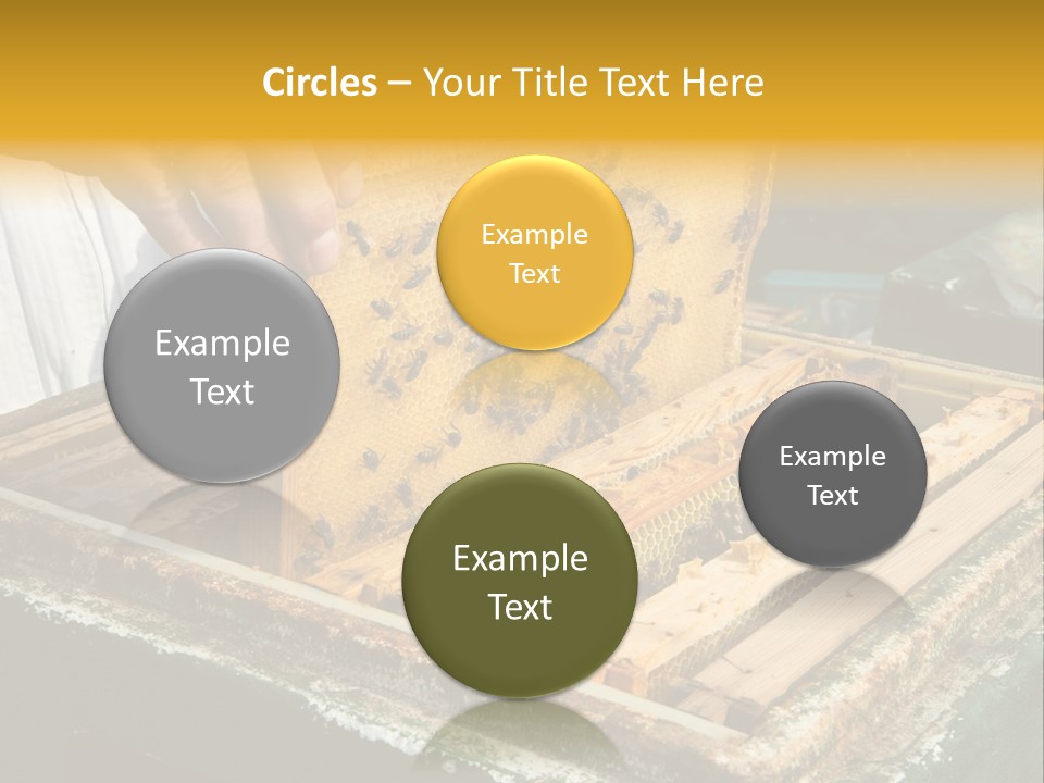 Pollination Beekeeping Apiary PowerPoint Template