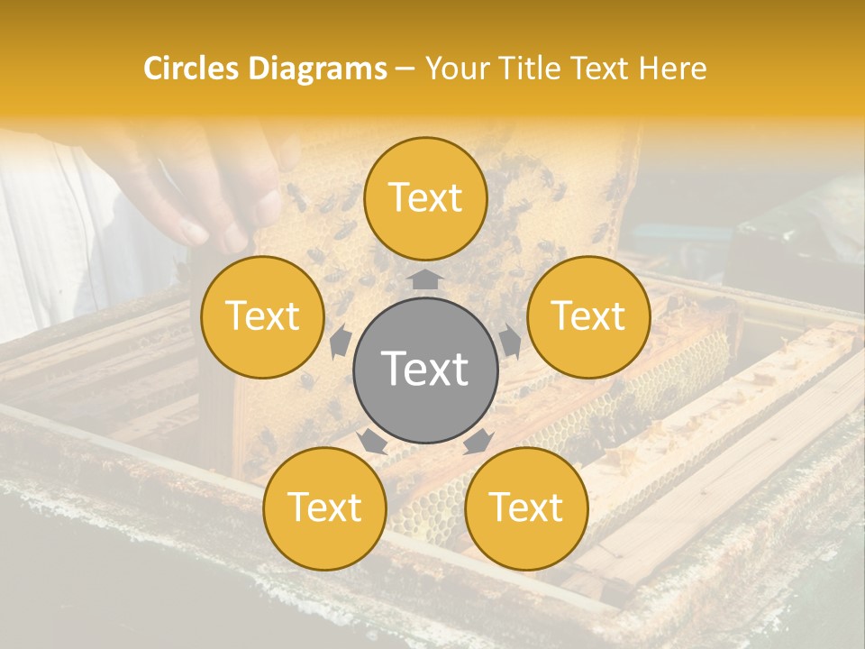 Pollination Beekeeping Apiary PowerPoint Template