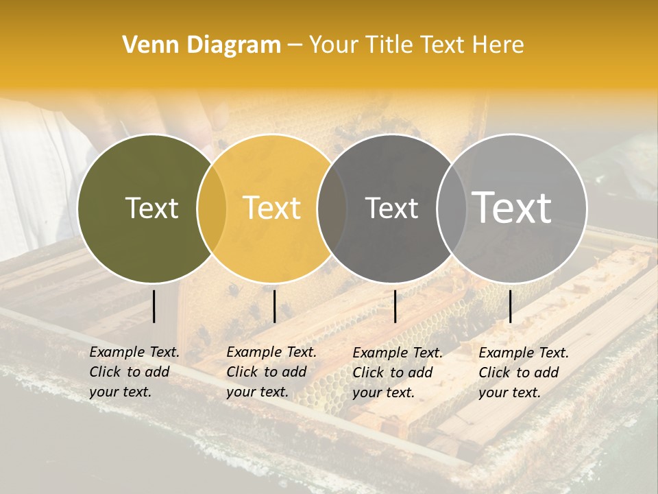 Pollination Beekeeping Apiary PowerPoint Template