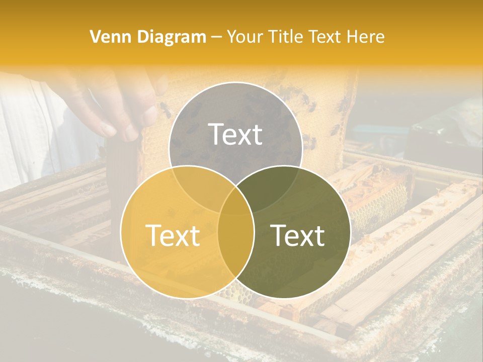 Pollination Beekeeping Apiary PowerPoint Template