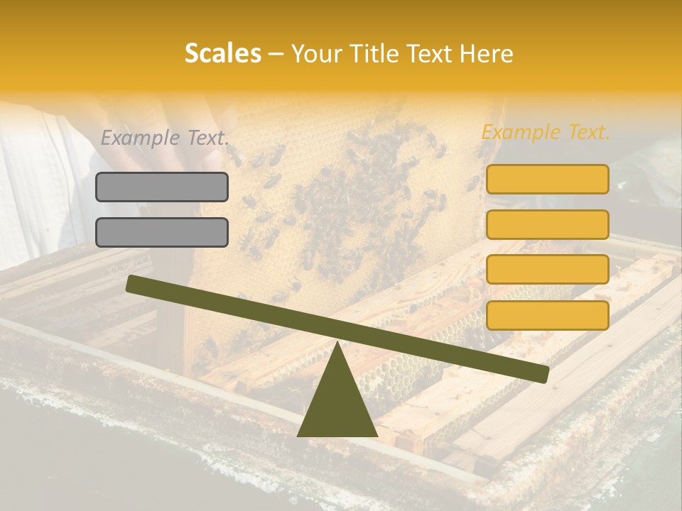 Pollination Beekeeping Apiary PowerPoint Template