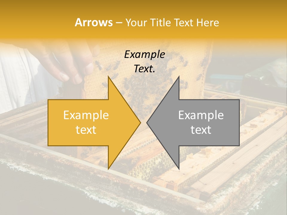 Pollination Beekeeping Apiary PowerPoint Template