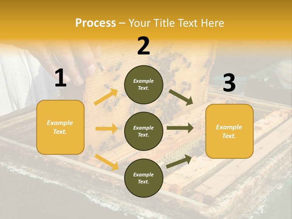 Pollination Beekeeping Apiary PowerPoint Template