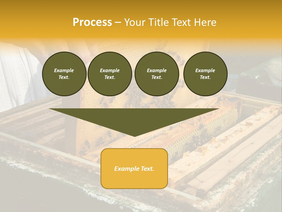 Pollination Beekeeping Apiary PowerPoint Template