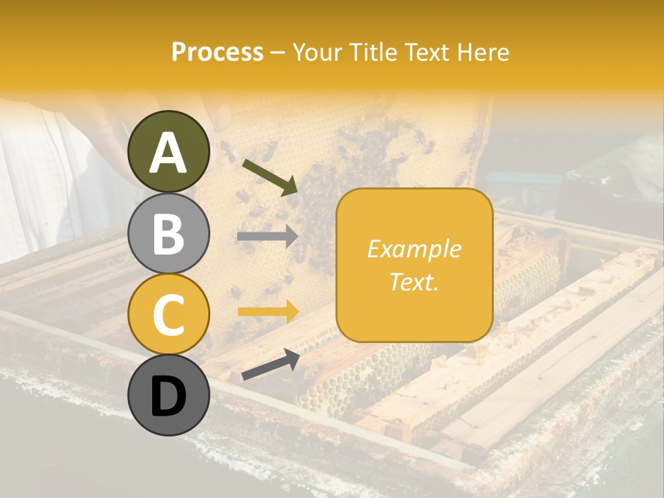 Pollination Beekeeping Apiary PowerPoint Template