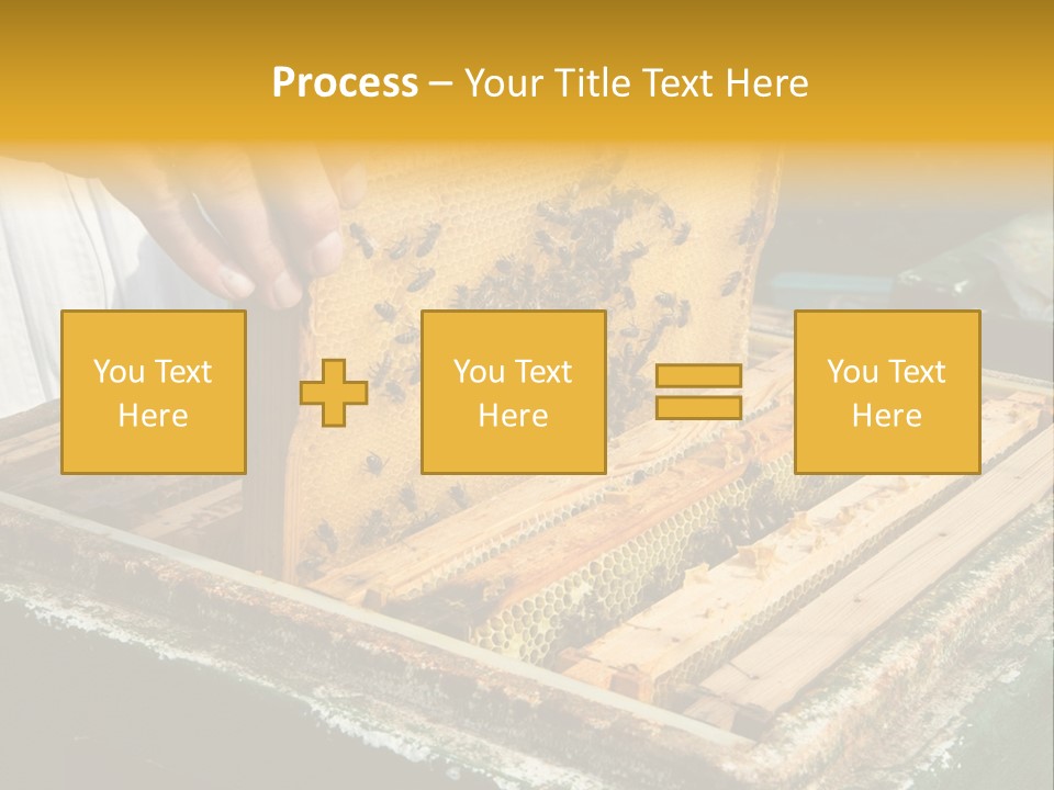 Pollination Beekeeping Apiary PowerPoint Template