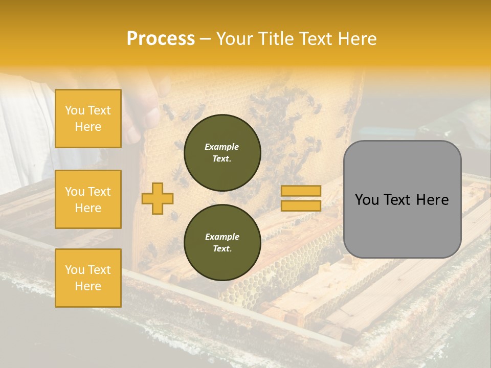 Pollination Beekeeping Apiary PowerPoint Template