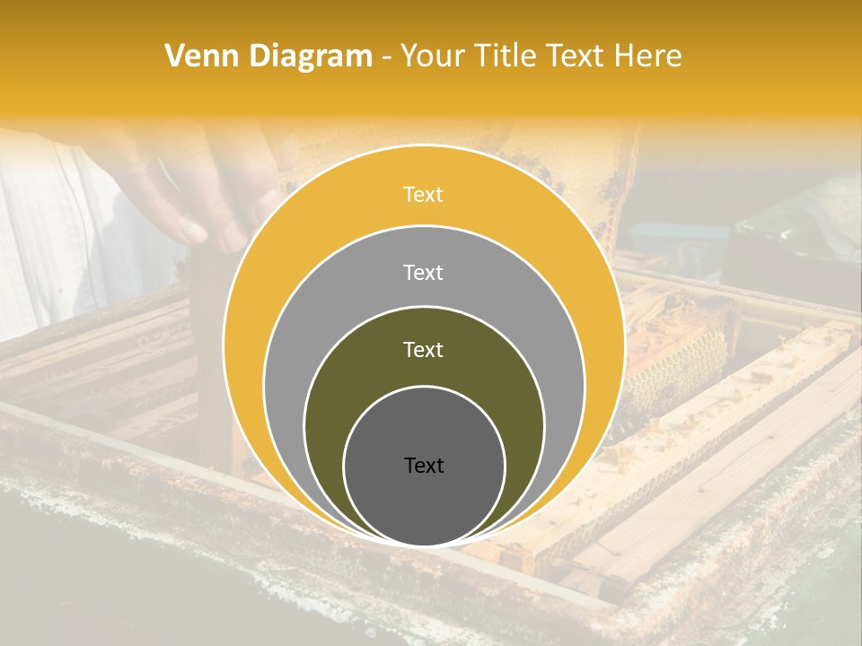 Pollination Beekeeping Apiary PowerPoint Template