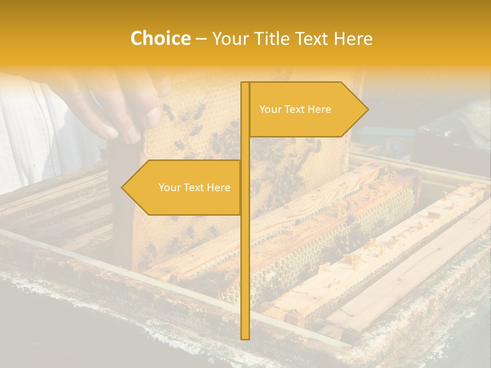 Pollination Beekeeping Apiary PowerPoint Template