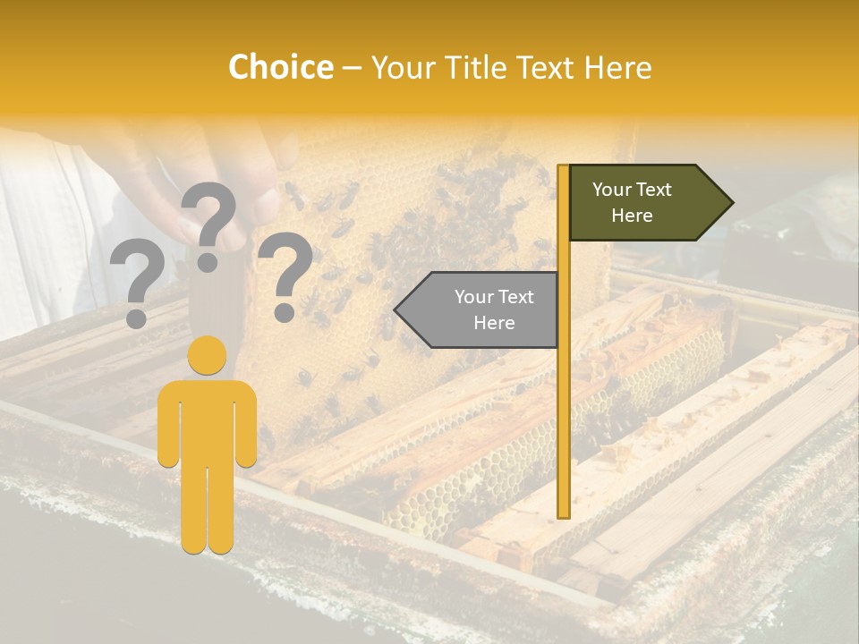 Pollination Beekeeping Apiary PowerPoint Template