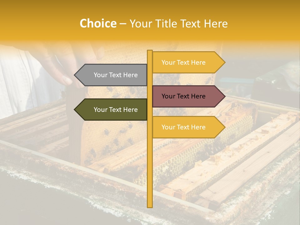Pollination Beekeeping Apiary PowerPoint Template