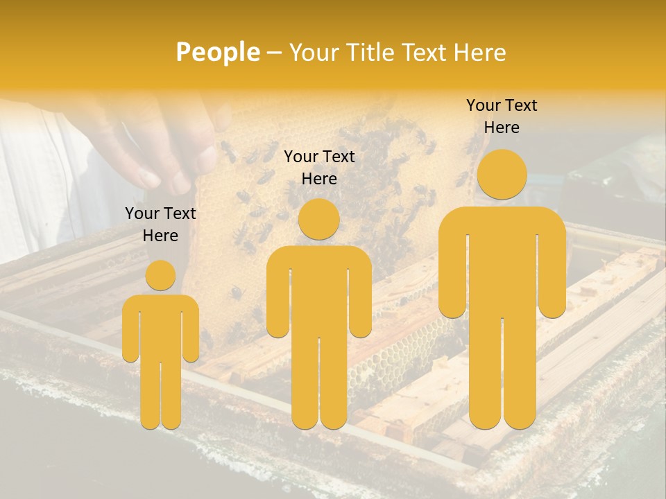 Pollination Beekeeping Apiary PowerPoint Template
