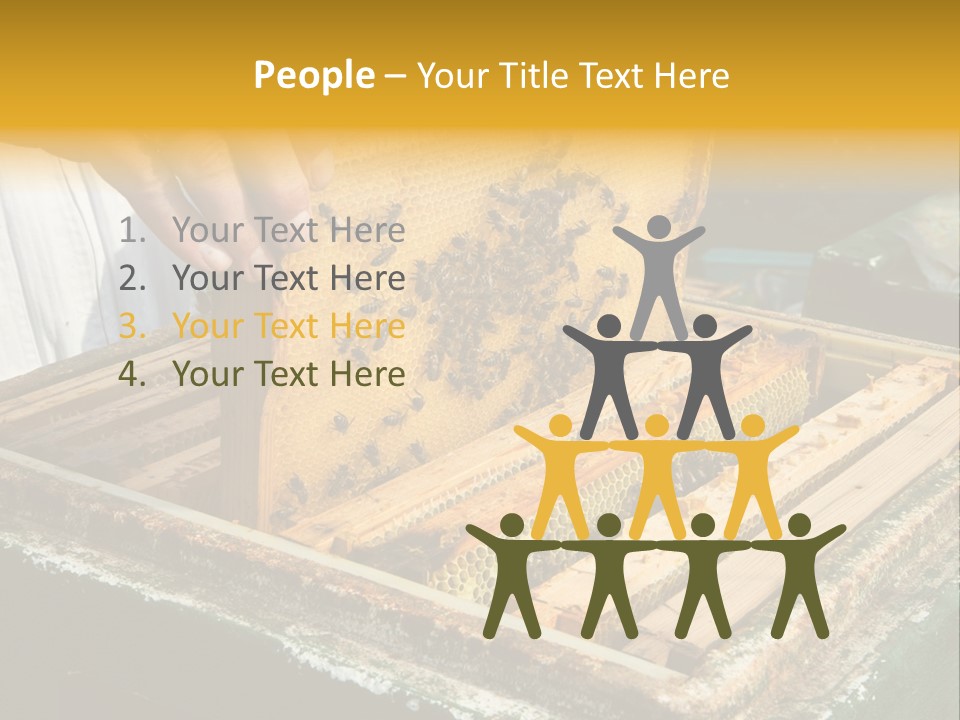 Pollination Beekeeping Apiary PowerPoint Template