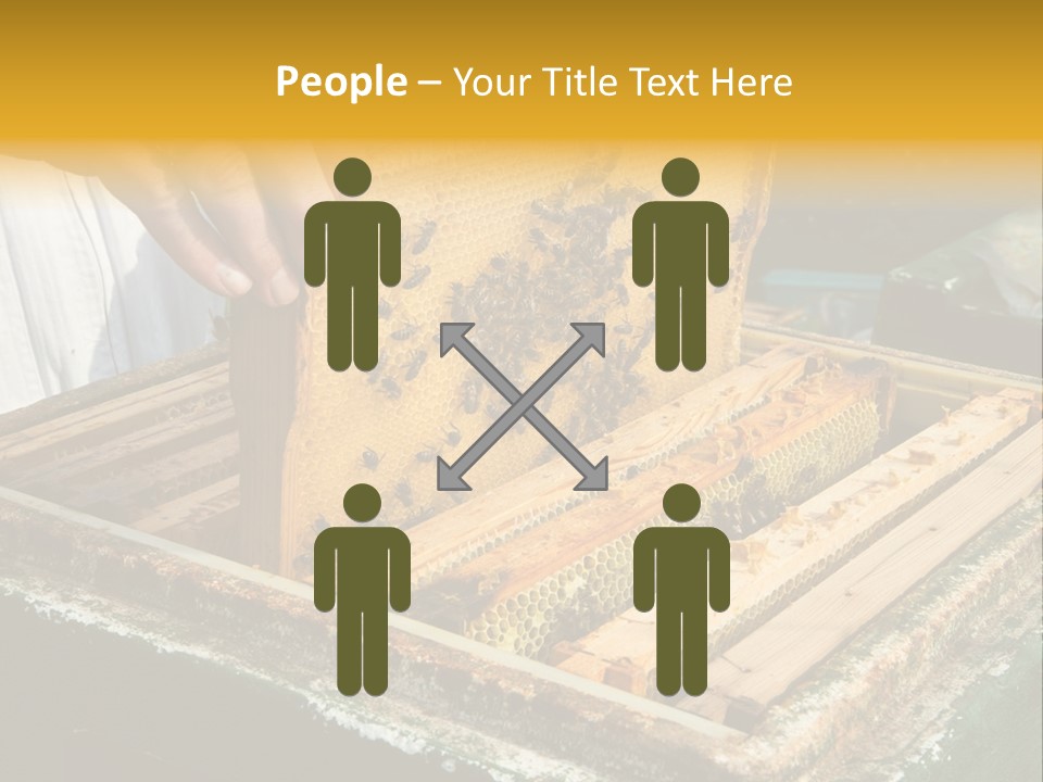 Pollination Beekeeping Apiary PowerPoint Template