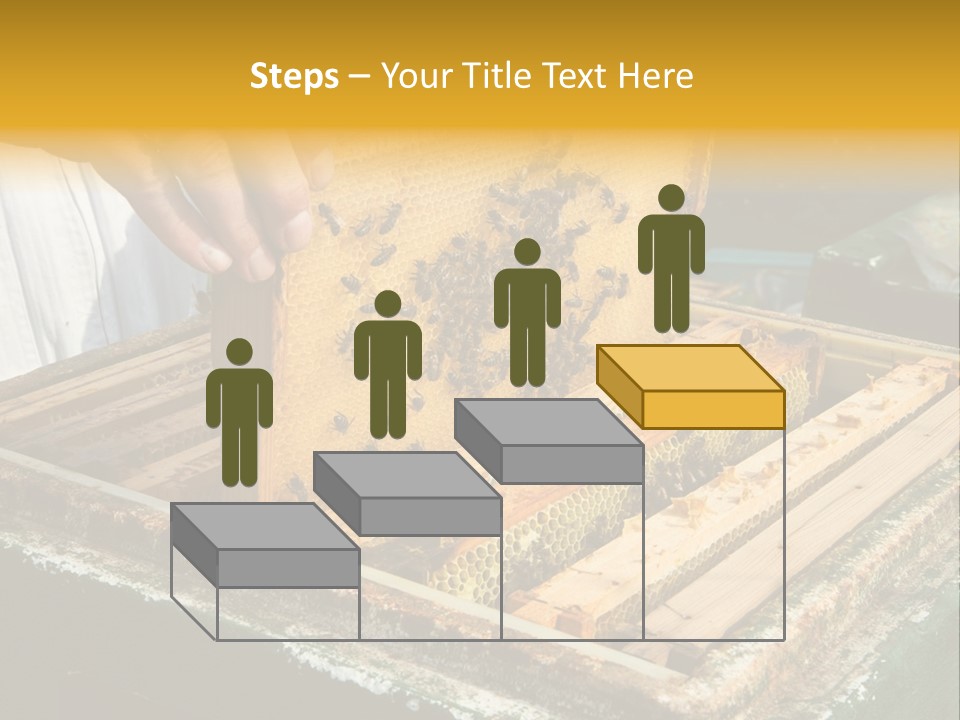 Pollination Beekeeping Apiary PowerPoint Template