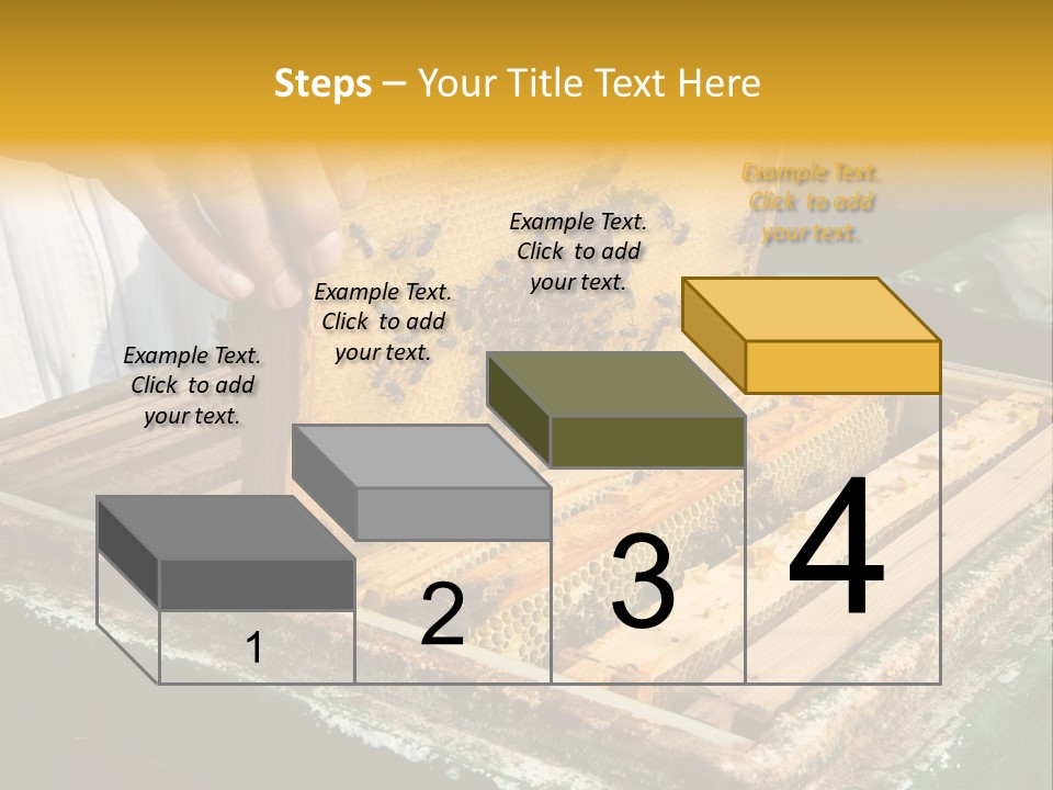 Pollination Beekeeping Apiary PowerPoint Template