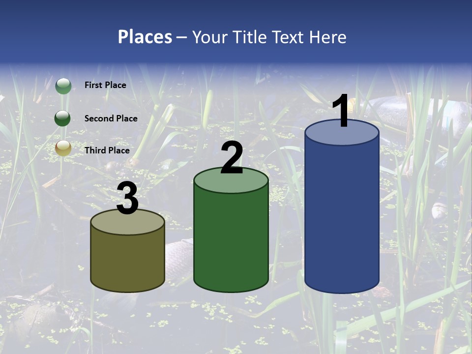 Garbage Destroyed Poisoned PowerPoint Template