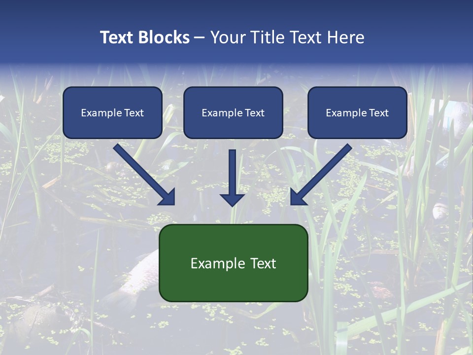 Garbage Destroyed Poisoned PowerPoint Template
